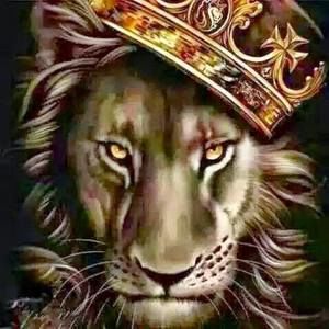 Meet your Posher, Dornell